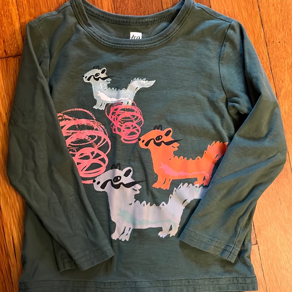 Tea Collection graphic print LS Tee 2T